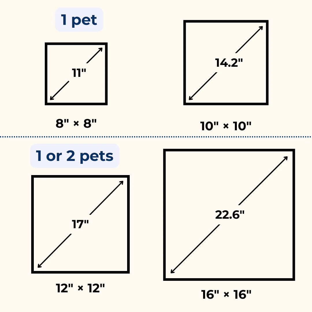 Eternal 3D Pet Portrait